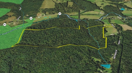 95 Acres in The Hocking Hills of Ohio - image 28