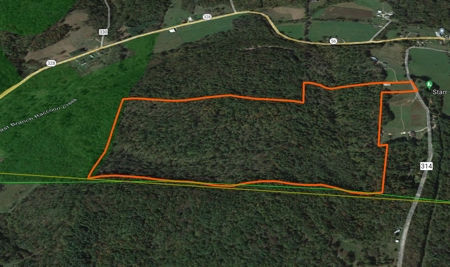 95 Acres in The Hocking Hills of Ohio - image 33