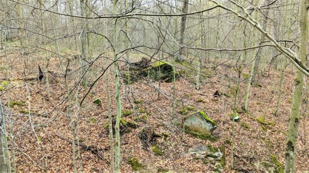 95 Acres in The Hocking Hills of Ohio - image 8