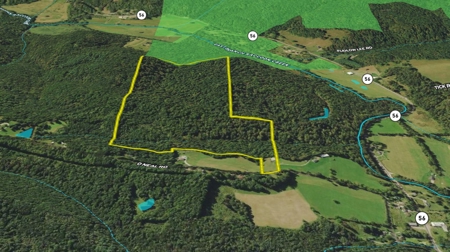 95 Acres in The Hocking Hills of Ohio - image 29