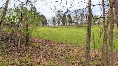 95 Acres in The Hocking Hills of Ohio - image 12