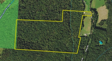 95 Acres in The Hocking Hills of Ohio - image 25