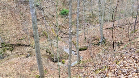 95 Acres in The Hocking Hills of Ohio - image 10