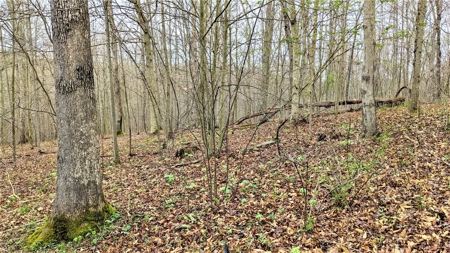 95 Acres in The Hocking Hills of Ohio - image 4