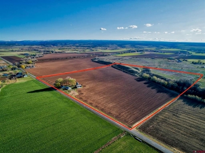 40 acre Farm in Olathe, Colorado with irrigation. - image 3