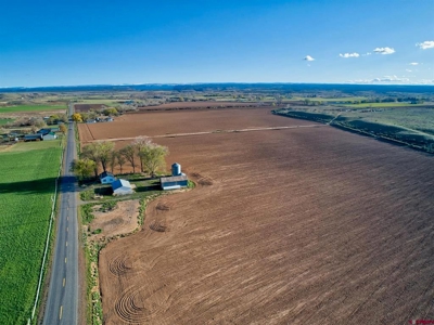 40 acre Farm in Olathe, Colorado with irrigation. - image 2