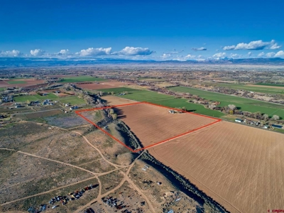 40 acre Farm in Olathe, Colorado with irrigation. - image 4
