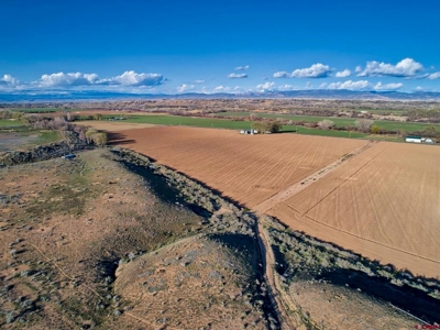 40 acre Farm in Olathe, Colorado with irrigation. - image 7