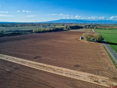 40 acre Farm in Olathe, Colorado with irrigation. - image 5