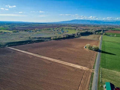 40 acre Farm in Olathe, Colorado with irrigation. - image 6