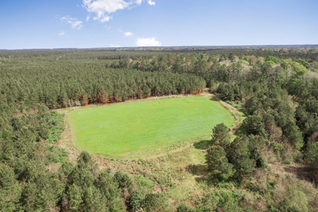 1250 Acre Timberland Lodge on the Tickfaw River South MS - image 28