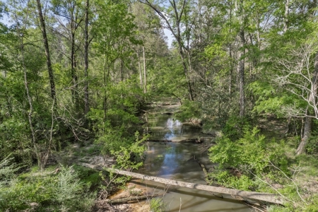 1250 Acre Timberland Lodge on the Tickfaw River South MS - image 26