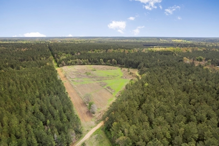 1250 Acre Timberland Lodge on the Tickfaw River South MS - image 33