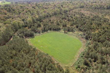 1250 Acre Timberland Lodge on the Tickfaw River South MS - image 27