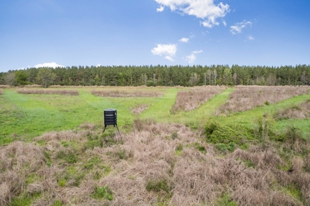 1250 Acre Timberland Lodge on the Tickfaw River South MS - image 31