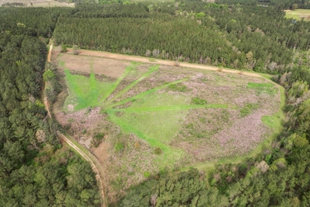 1250 Acre Timberland Lodge on the Tickfaw River South MS - image 30