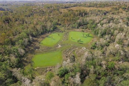 1250 Acre Timberland Lodge on the Tickfaw River South MS - image 24