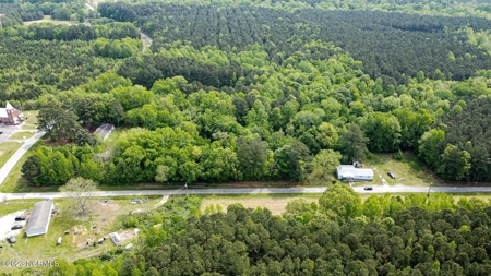 Wooded Lot in Chowan County - image 4