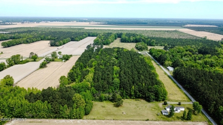 Wooded Lot in Chowan County - image 6