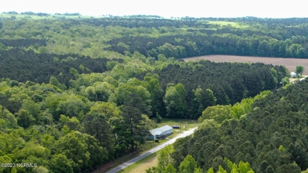 Wooded Lot in Chowan County - image 2