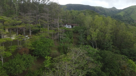 32 Hectares reforested land with water | Laguna San Carlos - image 21