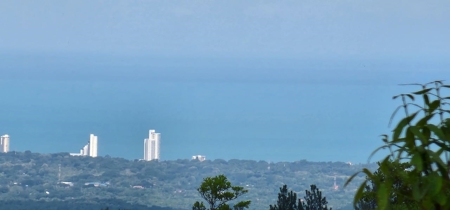 32 Hectares reforested land with water | Laguna San Carlos - image 31