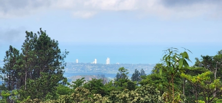 32 Hectares reforested land with water | Laguna San Carlos - image 32