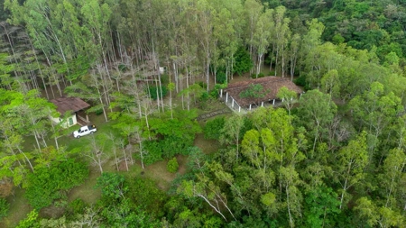32 Hectares reforested land with water | Laguna San Carlos - image 1