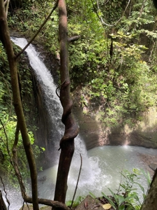 32 Hectares reforested land with water | Laguna San Carlos - image 33