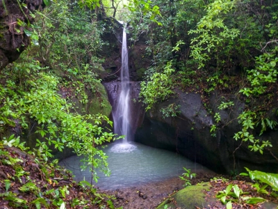 32 Hectares reforested land with water | Laguna San Carlos - image 20