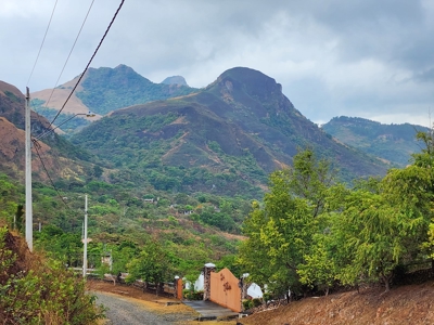 32 Hectares reforested land with water | Laguna San Carlos - image 23