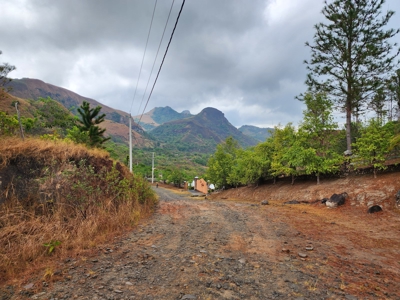 32 Hectares reforested land with water | Laguna San Carlos - image 22