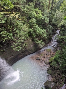 32 Hectares reforested land with water | Laguna San Carlos - image 37