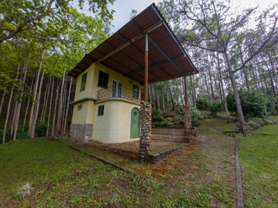 32 Hectares reforested land with water | Laguna San Carlos - image 10