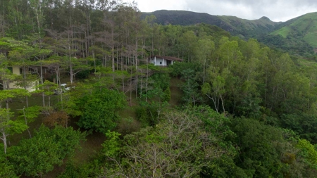 32 Hectares reforested land with water | Laguna San Carlos - image 13