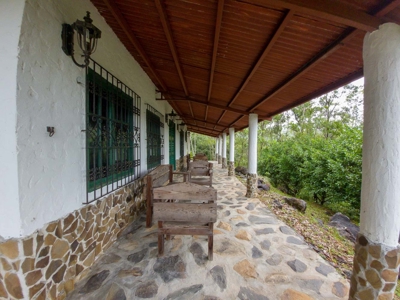 32 Hectares reforested land with water | Laguna San Carlos - image 4