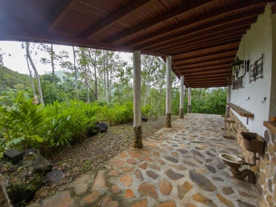 32 Hectares reforested land with water | Laguna San Carlos - image 5