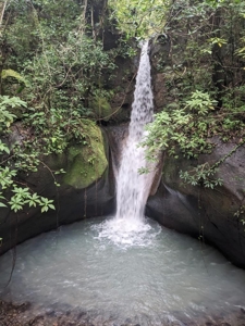 32 Hectares reforested land with water | Laguna San Carlos - image 34