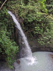 32 Hectares reforested land with water | Laguna San Carlos - image 38