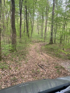 Hunting, Recreational & Timberland Tract For Sale in KY - image 30