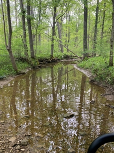 Hunting, Recreational & Timberland Tract For Sale in KY - image 27
