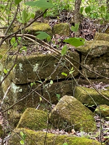 Hunting, Recreational & Timberland Tract For Sale in KY - image 20