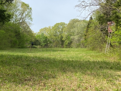 Hunting, Recreational & Timberland Tract For Sale in KY - image 1