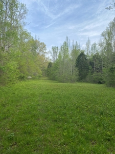 Hunting, Recreational & Timberland Tract For Sale in KY - image 26