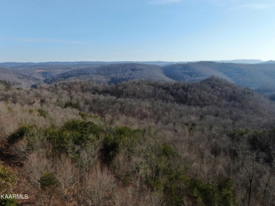 Prime 3-acre Wooded Lot in Lone Mountain Shores - image 17