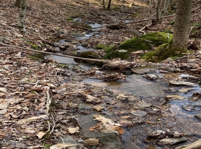 Prime 3-acre Wooded Lot in Lone Mountain Shores - image 14