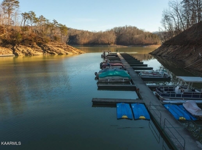 Prime 3-acre Wooded Lot in Lone Mountain Shores - image 37