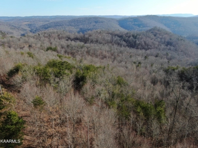 Prime 3-acre Wooded Lot in Lone Mountain Shores - image 16