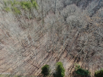 Prime 3-acre Wooded Lot in Lone Mountain Shores - image 21