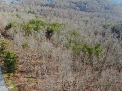 Prime 3-acre Wooded Lot in Lone Mountain Shores - image 15